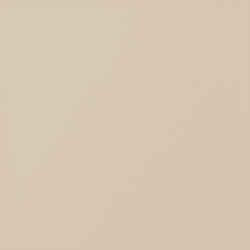 Accessible Beige
