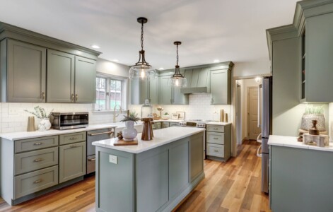 Savannah15, PG-HD, Evergreen Fog